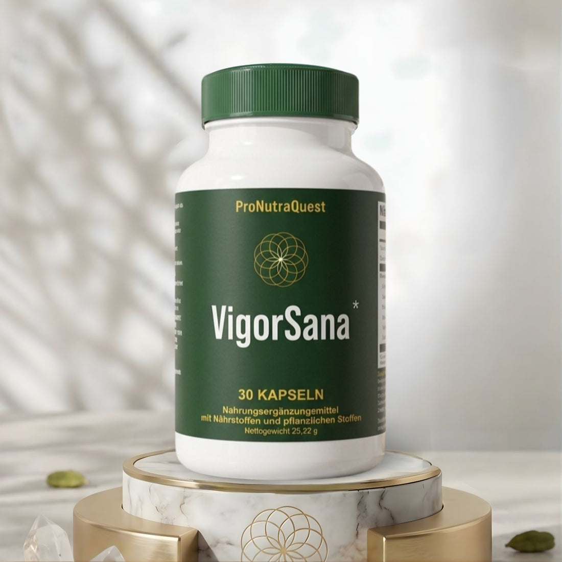 VigorSana Männer Gesundheit Unterstützung